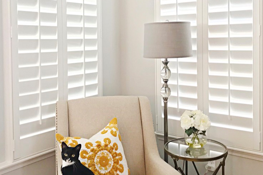 White polywood shutters in a corner of a living room